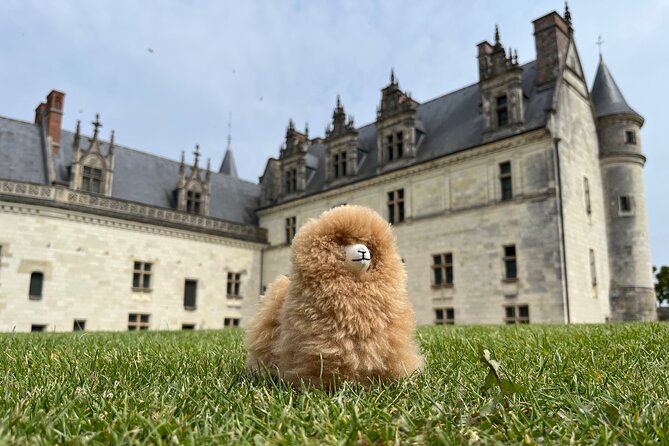3 Loire Valley Castles and Wine Tasting Private Guided Tour - Amboise, royal residence and Leonardo’s tomb