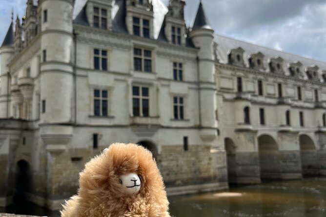 3 Loire Valley Castles and Wine Tasting Private Guided Tour - Lunch in Amboise without losing the afternoon