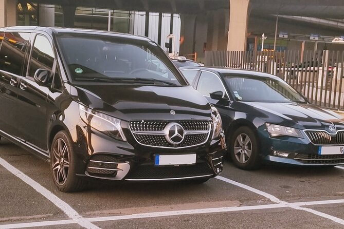 Airport Transfer Paris - Disneyland - Minivan 1-8 Passengers - Why a private ride makes sense for Disneyland