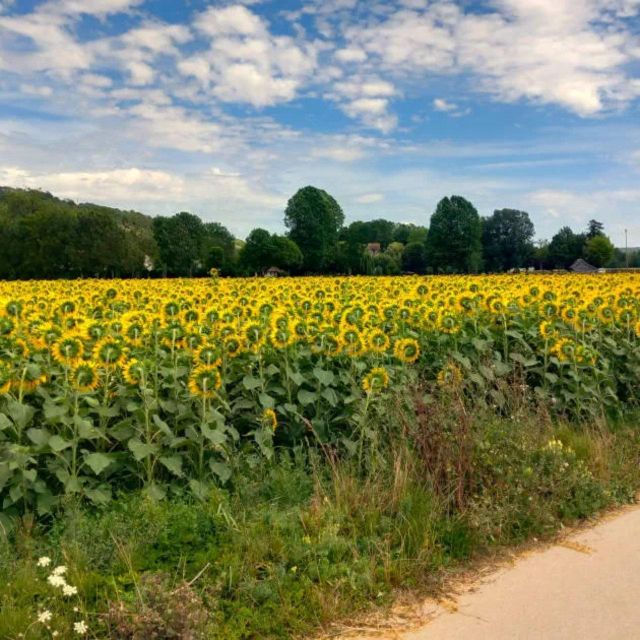 Bike tour from Vernon to Giverny with local guide - Practical tips before you go