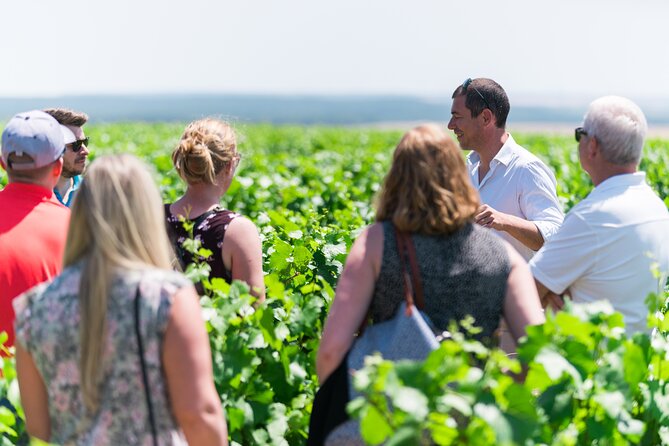Burgundy Wine Tasting Small-Group Tour in Chablis from Paris - Why this Chablis day trip works from Paris