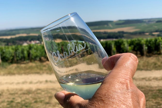 Burgundy Wine Tasting Small-Group Tour in Chablis from Paris - The old Bersan cellar and changing final stops