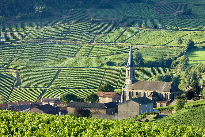 Burgundy Wine Tasting Small-Group Tour in Chablis from Paris - Jean-Marc Brocard, the strongest first taste