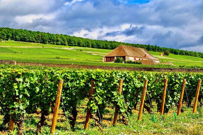 Chablis 20 Exquisite Wines Tasting Trip in Small-Group from Paris - Why Chablis makes a worthwhile day from Paris