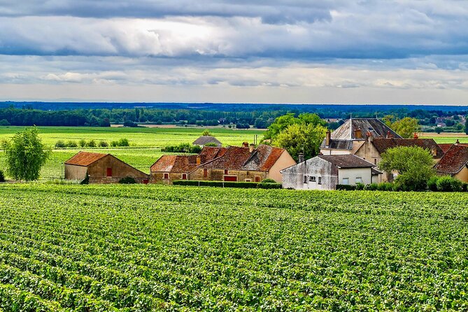 Chablis 20 Exquisite Wines Tasting Trip in Small-Group from Paris - Domaine Céline and Frédéric Gueguen: flexible time in Chablis