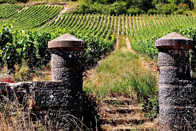 Chablis 20 Exquisite Wines Tasting Trip in Small-Group from Paris - Maison Régnard and the history of a Chablis house