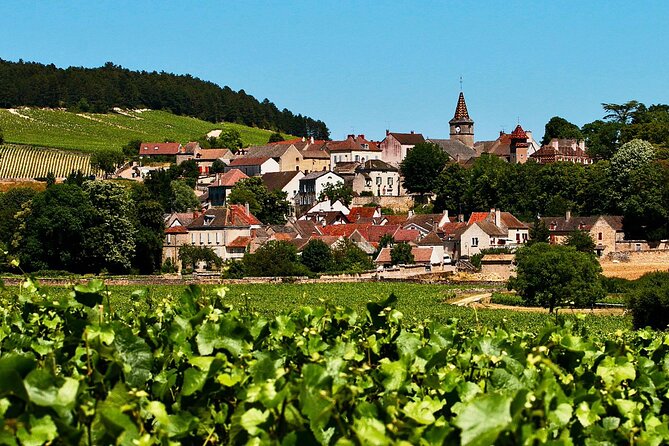 Chablis 20 Exquisite Wines Tasting Trip in Small-Group from Paris - What the 20-wine format really gives you