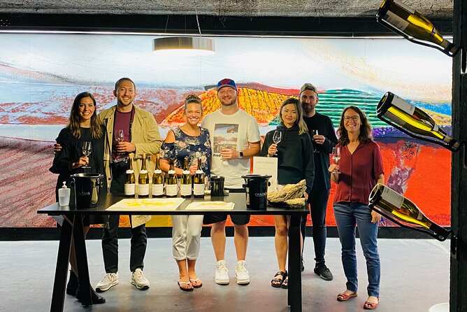 Chablis and Burgundy Wine Tour Run by Sommelier with Lunch - Pinot Noir, old caves, and the final tasting