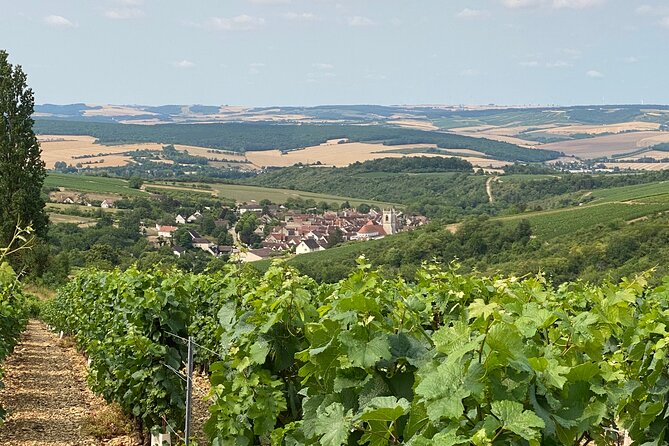 Chablis and Burgundy Wine Tour Run by Sommelier with Lunch - Is the $362.81 price good value?