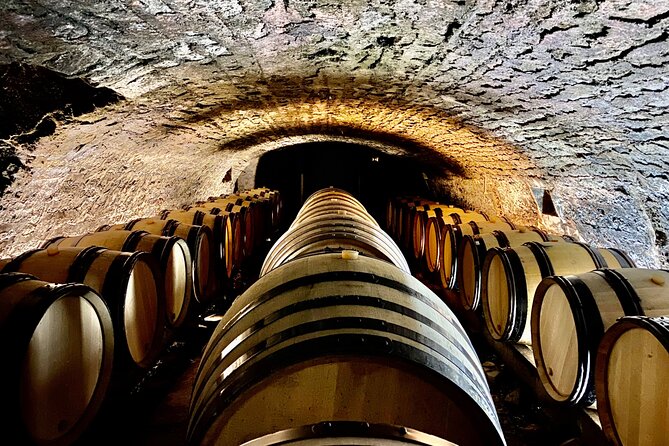 Chablis and Burgundy Wine Tour Run by Sommelier with Lunch - Chablis village and the first white wines