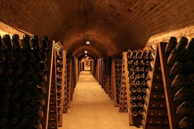 Champagne and Reims Tasting Day Trip from Paris - Hautvillers, Dom Pérignon, and the vineyard country