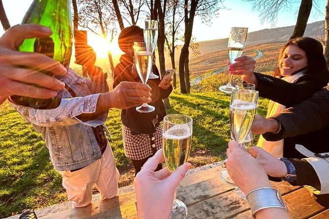 Champagne and Reims Tasting Day Trip from Paris - Reims Cathedral and the story of French kings
