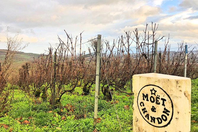Champagne Area Small-Group Tour including a Top Champagne house & Family Winery - Why this Champagne day makes sense from Paris