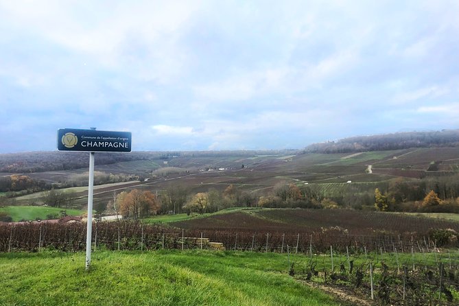 Champagne Area Small-Group Tour including a Top Champagne house & Family Winery - Guide quality, timing, and the full-day rhythm