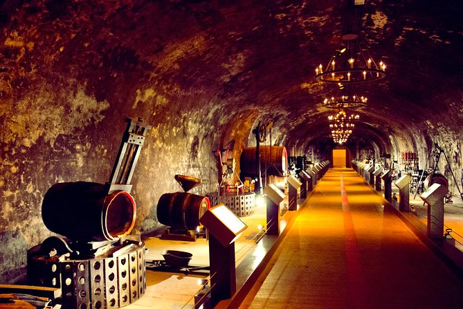Champagne Day Tour with Reims, Cellars Visit & Champagne Tasting from Paris - Key points to know before booking