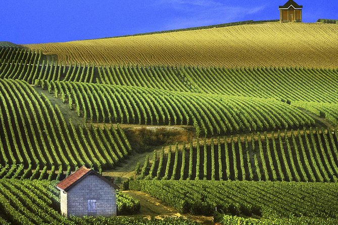 Champagne Day Tour with Reims, Cellars Visit & Champagne Tasting from Paris - Why this Champagne day trip works from Paris