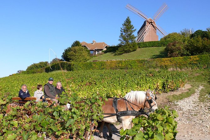 Champagne Day Tour with Reims, Cellars Visit & Champagne Tasting from Paris - Guides, vehicles, and the shape of the day