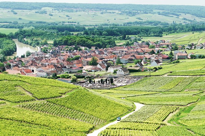 Champagne Day Trip with 6 Tastings, Reims and Winery from Paris - Rolling vineyards and the grapes behind the bubbles