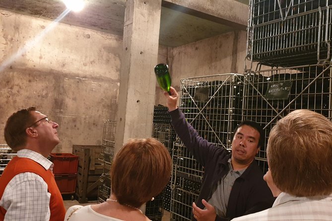 Champagne half-day tour - A Short Drive Through the Foret Domaniale de Verzy