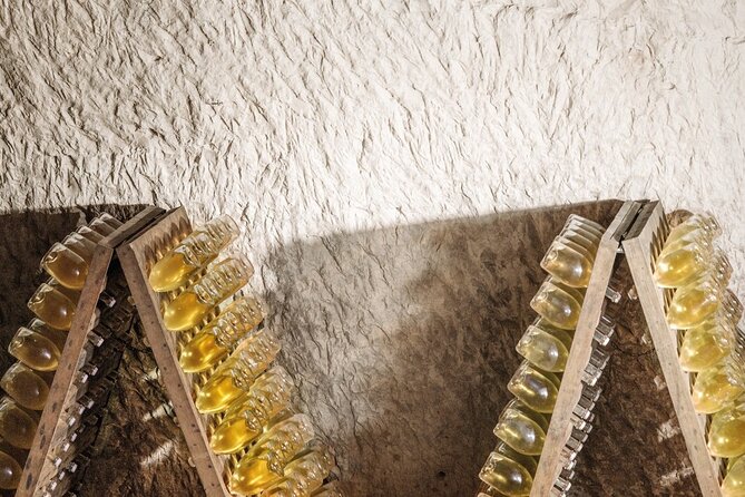 Champagne Private VIP Wine Day Trip with Michelin Lunch - Walking among the vines