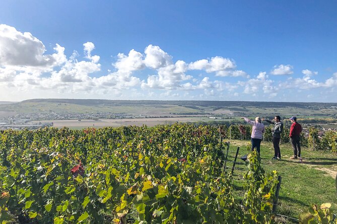 Champagne Private VIP Wine Day Trip with Michelin Lunch - A three-hour Michelin lunch in a château