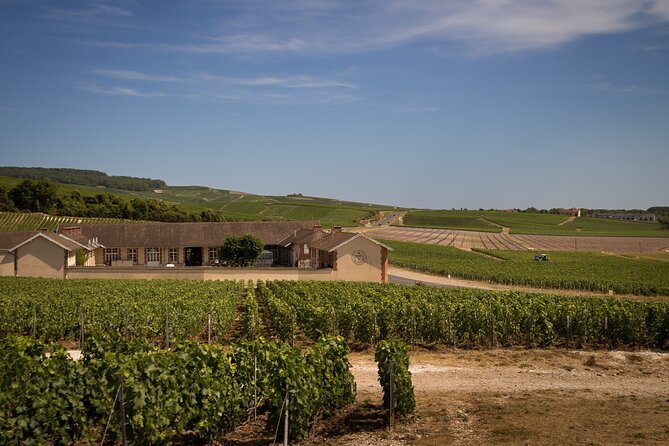 Champagne Tasting Tour Day Trip From Paris - A major Champagne house and its underground cellars