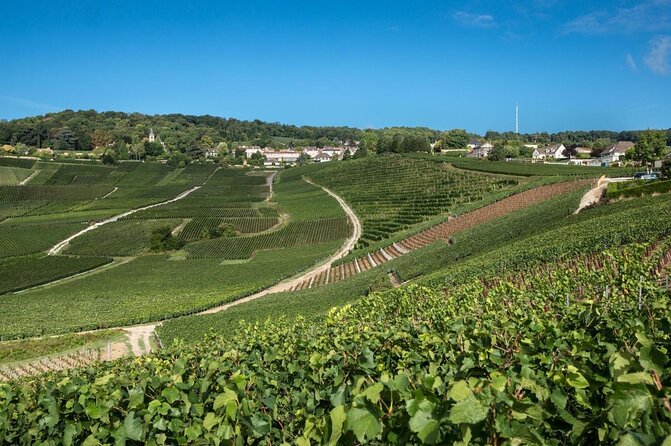 Champagne tour - Private Day trip from Paris - Key points at a glance