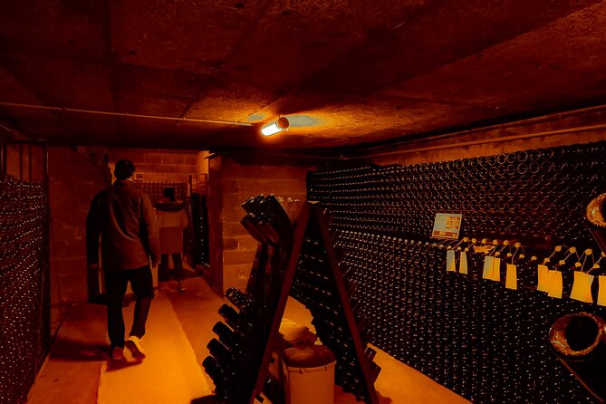 Champagne tour - Private Day trip from Paris - Meeting independent winemakers in the Champagne-Ardenne countryside