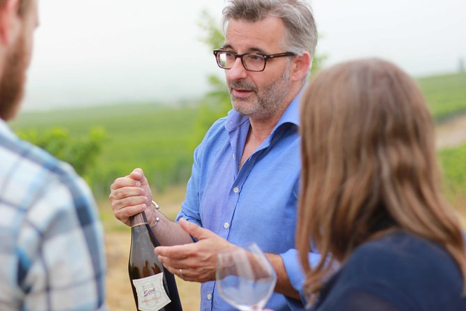 Champagne VIP Day Trip from Paris With Local PRIVATE Wine Expert Guide - Key points to know before booking