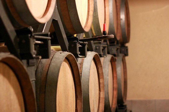 Champagne VIP Day Trip from Paris With Local PRIVATE Wine Expert Guide - The artisan producer in Montagne de Reims