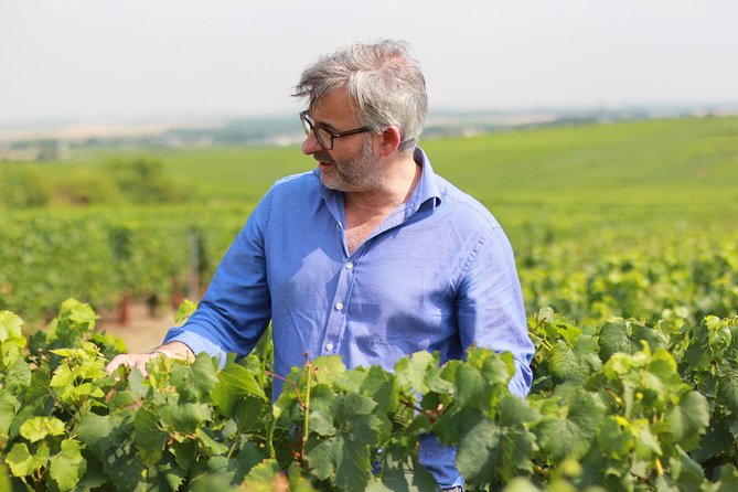 Champagne VIP Day Trip from Paris With Local PRIVATE Wine Expert Guide - Reims Cathedral and the city center
