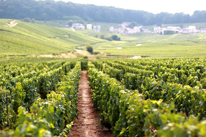 Champagne VIP Day Trip from Paris With Local PRIVATE Wine Expert Guide - From Paris to Champagne by train