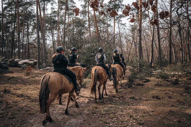 Day Trip to Fontainebleau : Horse Riding, Gastronomy and Castle - Lunch with pastries, wine, and a slower middle of the day