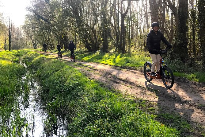 Discover Versailles on electric 2-wheelers (Yes to PRM) - Petit Trianon and Grand Trianon