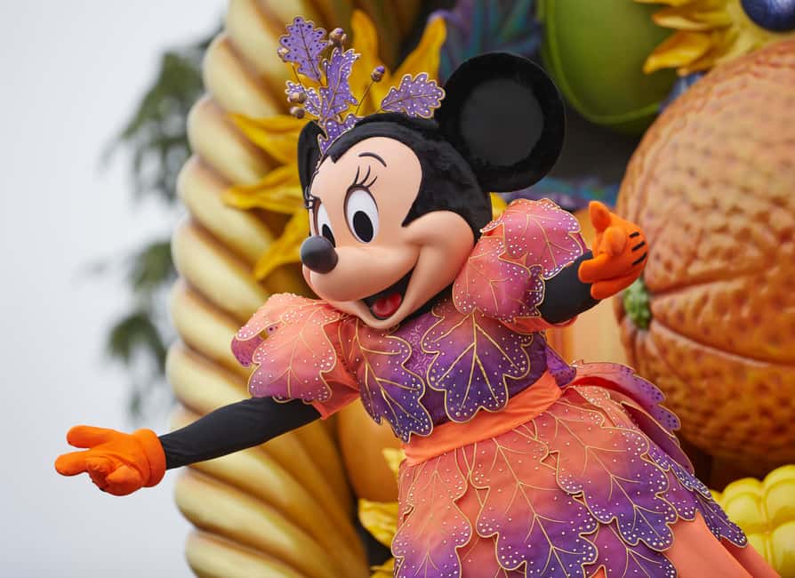 Disneyland® Paris 1-Day Ticket - Key points at a glance