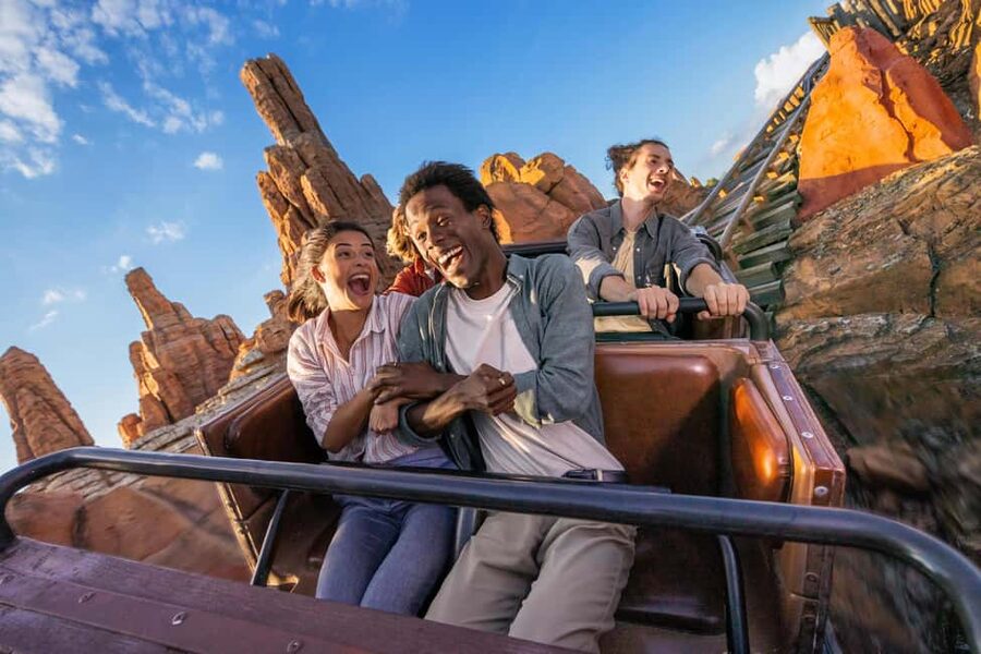 Disneyland® Paris Tickets and Shuttle Transport - Who will like this day trip most