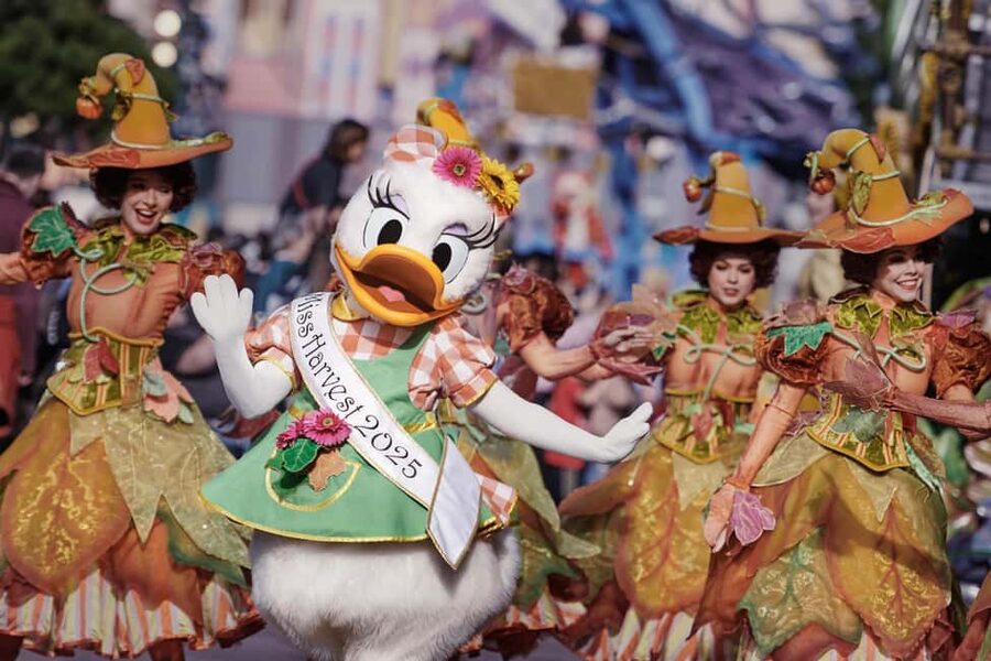Disneyland® Paris Tickets and Shuttle Transport - Downloading your Disneyland Paris tickets