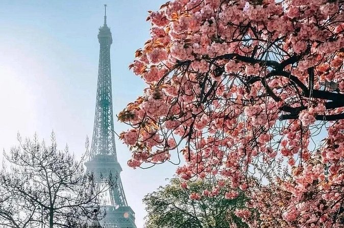 Eiffel Tower Guided Access up to the 2nd Floor or Summit by Lift - Price and who gets good value at $66.28