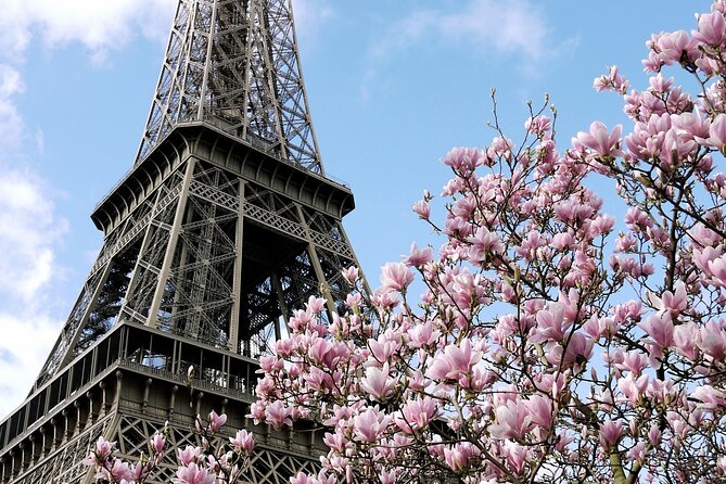 Eiffel Tower Summit Semi-Private Guided Tour - The second level and the ride to the summit