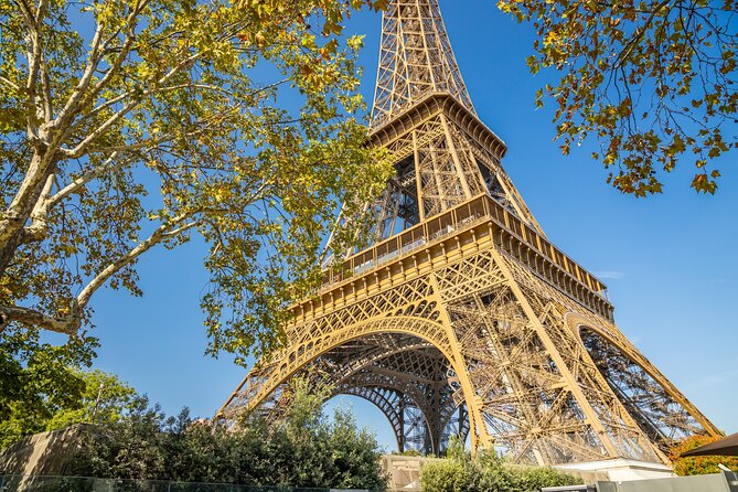 Eiffel Tower with 2nd Floor Access & Trocadero Gardens Tour - The walking and timing you should expect