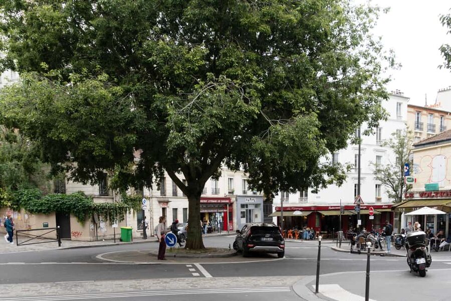 Exploring Belleville: Parisian Culture&Creativity in Motion - Group size, walking time, and practical comfort