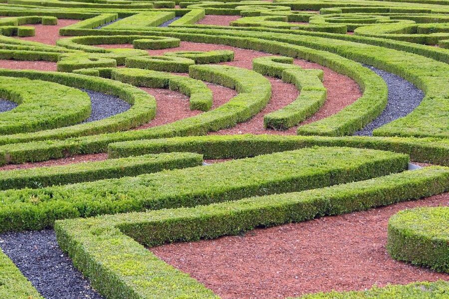 Fontainebleau & Vaux-le-Vicomte Châteaux Day Tour from Paris - Fontainebleau, Seven Centuries of Royal Use