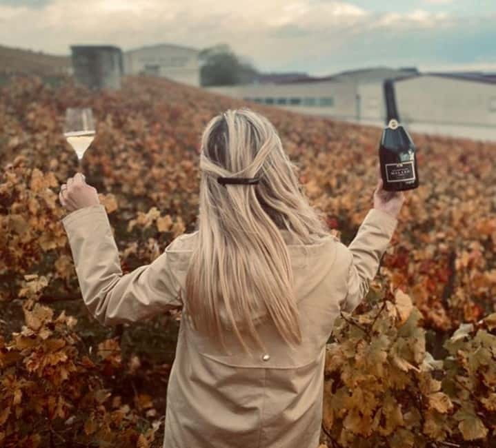 From Paris: Champagne Day Trip with 7 Tastings and Lunch - Is $293 a fair price?