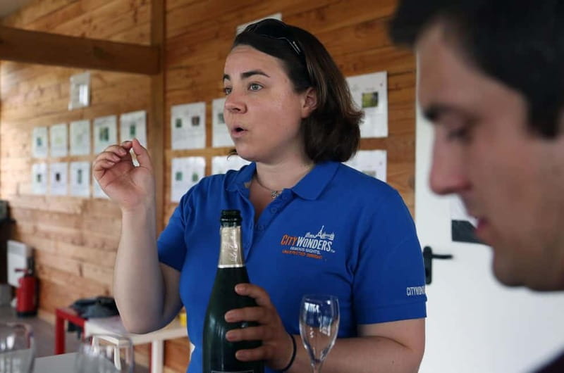 From Paris: Champagne Day Trip with 7 Tastings and Lunch - Épernay and the Avenue of Champagne