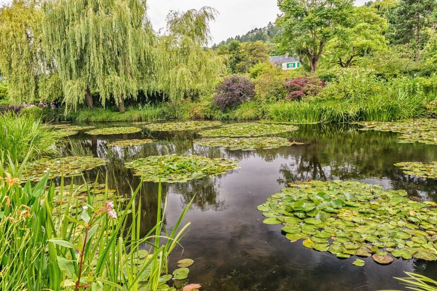 From Paris: Guided Day Trip to Monet's Garden in Giverny - Why Giverny matters to Monet’s paintings