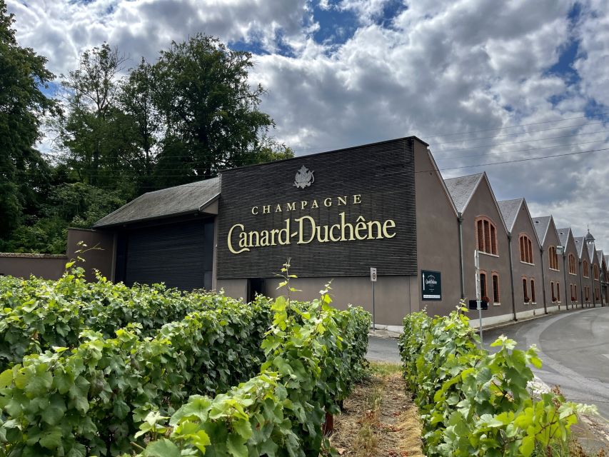 From Paris: Reims and Champagne Tasting Full-Day Tour - The small estate and the people behind the bottle