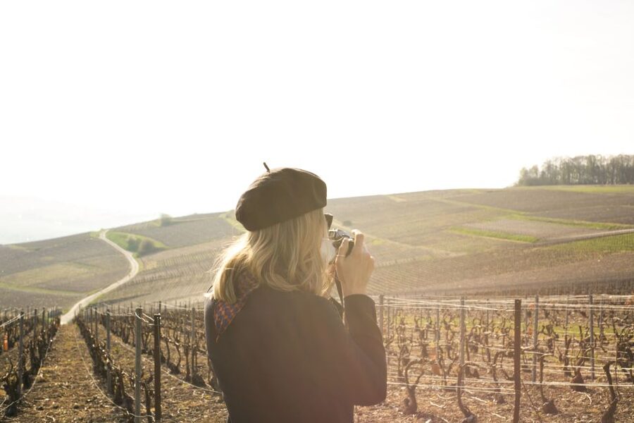 From Paris: Reims and Champagne Tasting Full-Day Tour - Learning Champagne among the vines