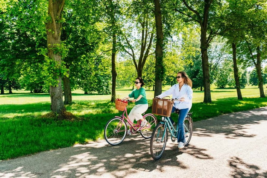 From Paris: Skip-the-Line Palace of Versailles Bike Tour - The gardens, fountains, and long royal avenues
