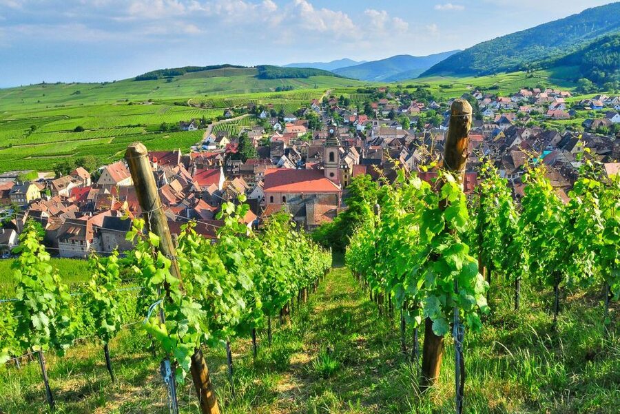 From Paris: Small-Group Champagne Day Trip with Six Tastings - The family-run winery: personal Champagne and local character