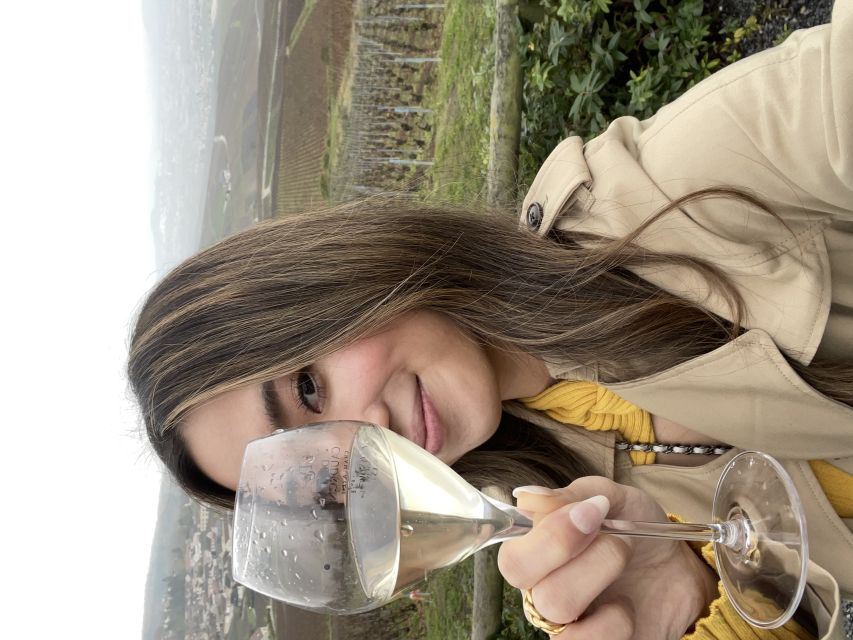 From Paris: Small-Group Champagne Tour with 3-Course Lunch - Seeing the vines and learning Champagne basics